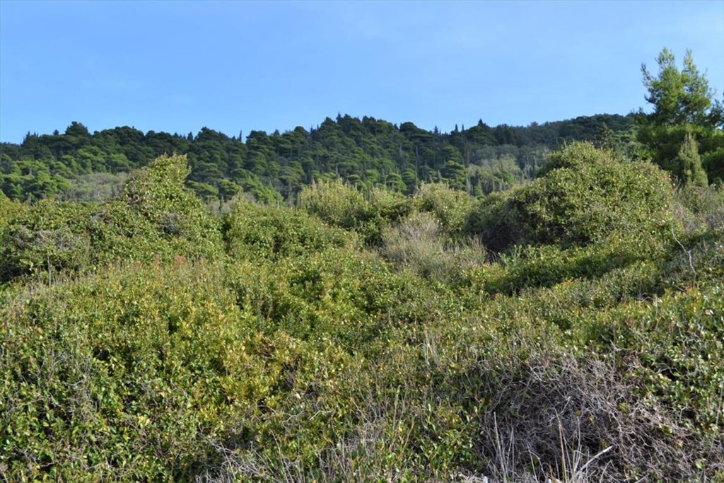 Land in Corfu, Corfu Prefecture, Greece – 62294