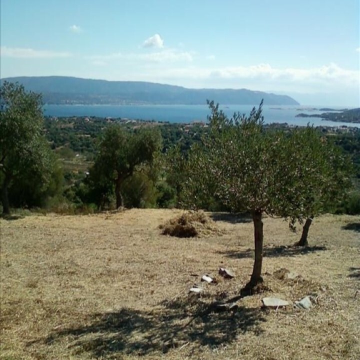 Land in Aristotle, Chalkidiki, Greece – 62234
