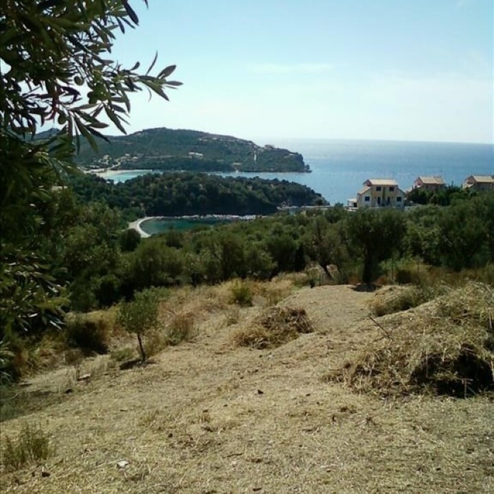 Land in Aristotle, Chalkidiki, Greece – 62234