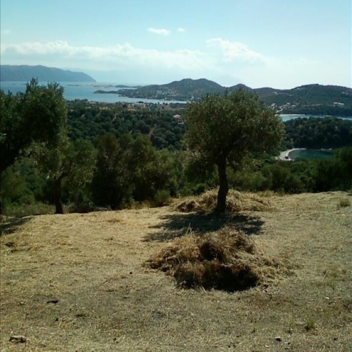 Land in Aristotle, Chalkidiki, Greece – 62234