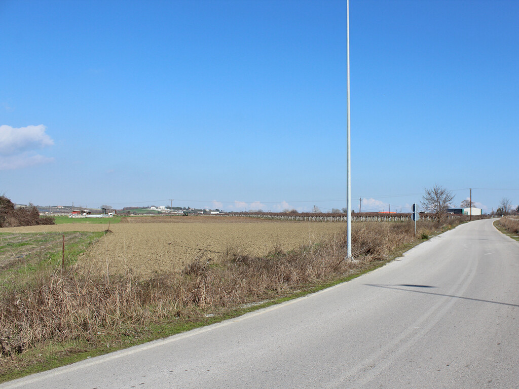 Land in Katerini, Pieria Prefecture, Greece – 62226