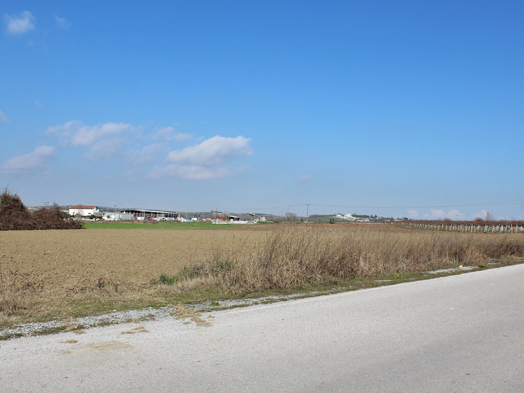 Land in Katerini, Pieria Prefecture, Greece – 62226