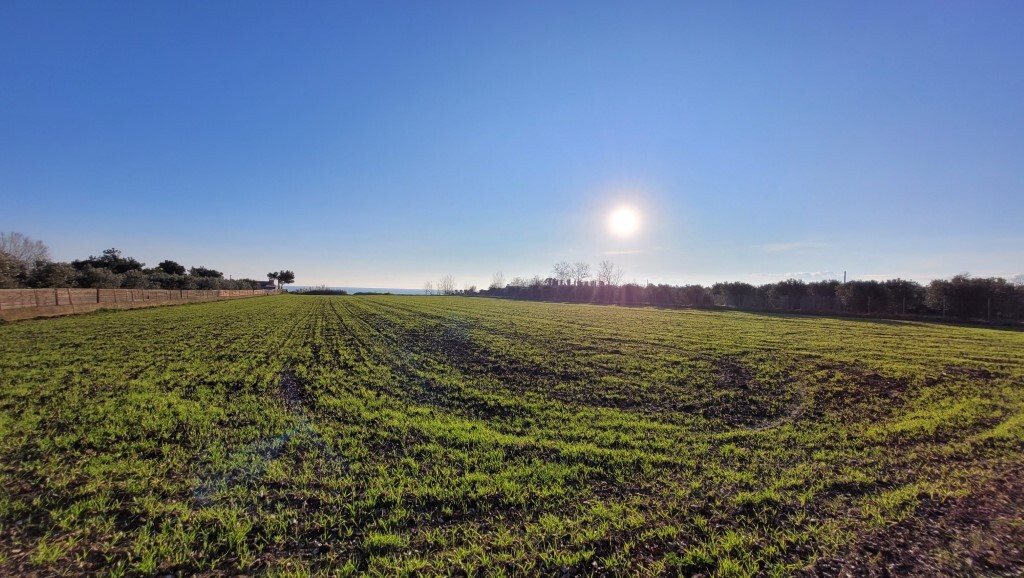 Land in Epanomi, Thessaloniki – Suburbs, Greece – 62210