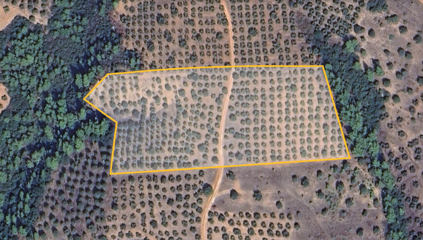 Land in Sithonia, Chalkidiki, Greece – 62182