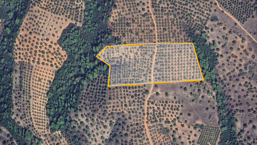 Land in Sithonia, Chalkidiki, Greece – 62182