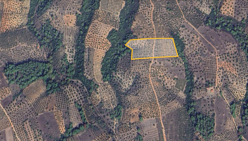 Land in Sithonia, Chalkidiki, Greece – 62182