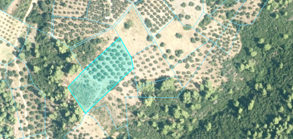 Land in Sithonia, Chalkidiki, Greece – 62180