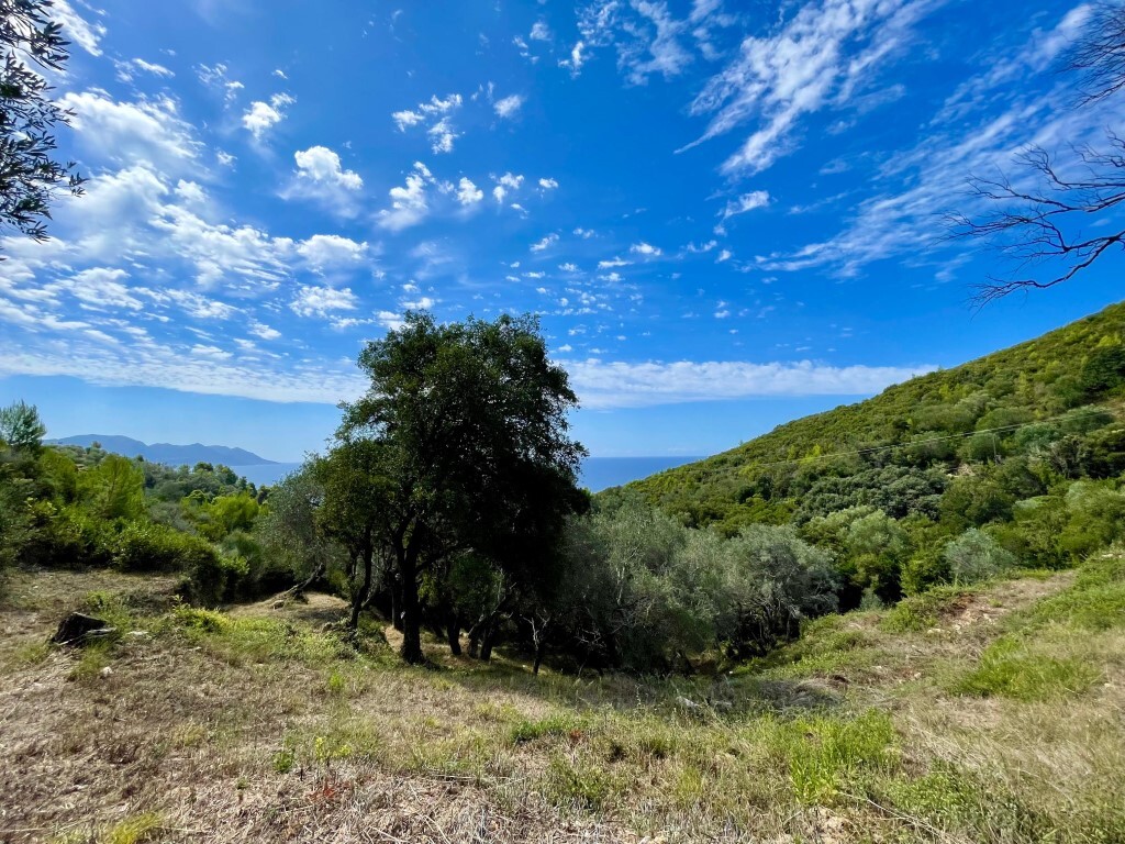 Land in Corfu, Corfu Prefecture, Greece – 62176