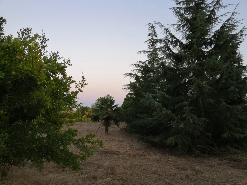 Land in Epanomi, Thessaloniki – Suburbs, Greece – 62158