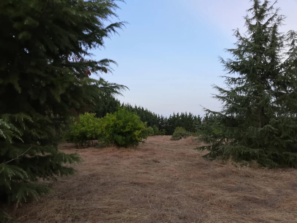 Land in Epanomi, Thessaloniki – Suburbs, Greece – 62158