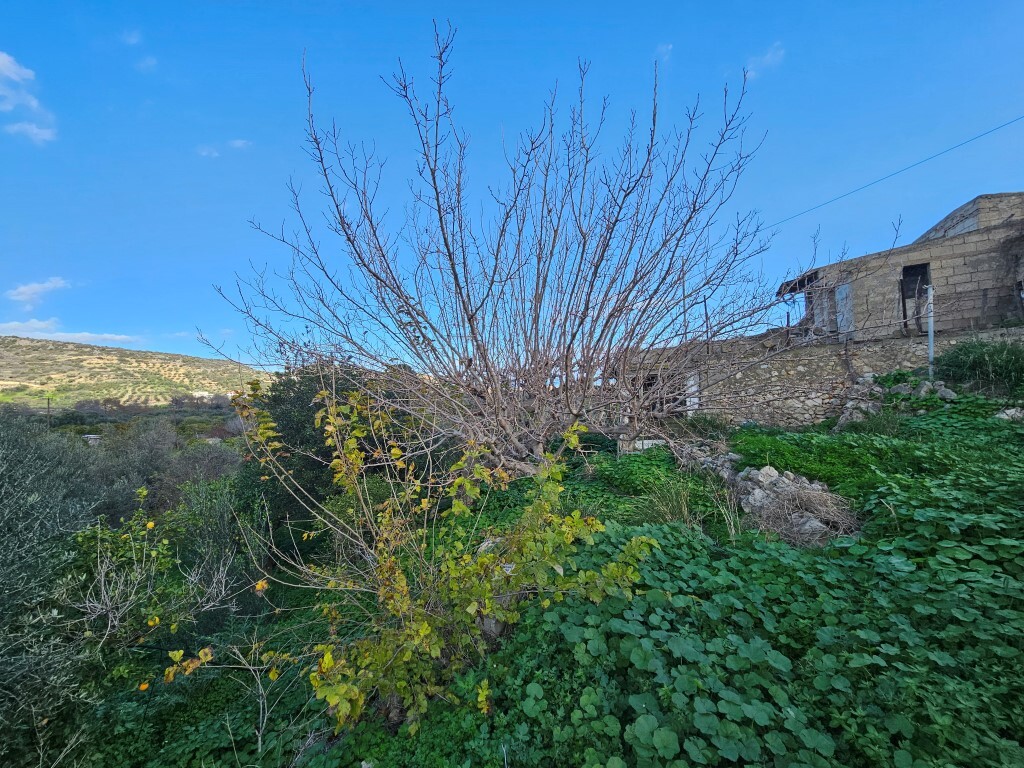 Land in Agios Nikolaos, Lasithi Prefecture, Greece – 62152