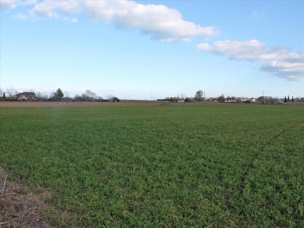 Land in Paralia, Pieria Prefecture, Greece – 62136