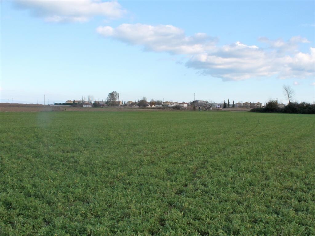 Land in Paralia, Pieria Prefecture, Greece – 62136