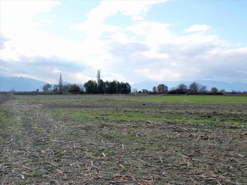 Land in Paralia, Pieria Prefecture, Greece – 62135