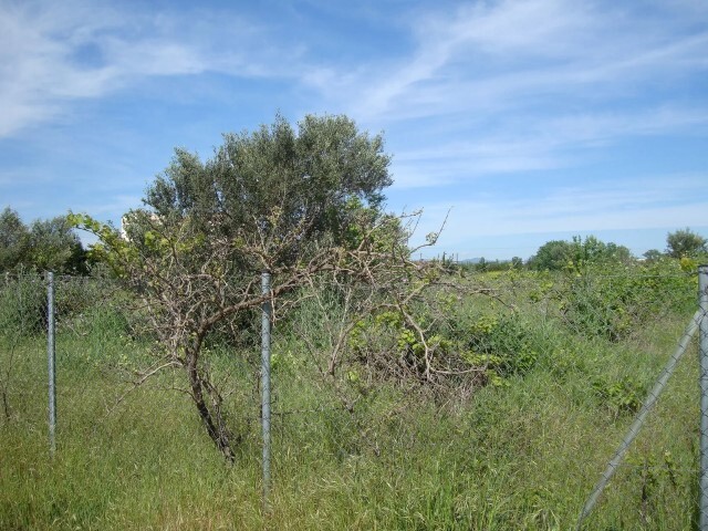 Land in Epanomi, Thessaloniki – Suburbs, Greece – 62125