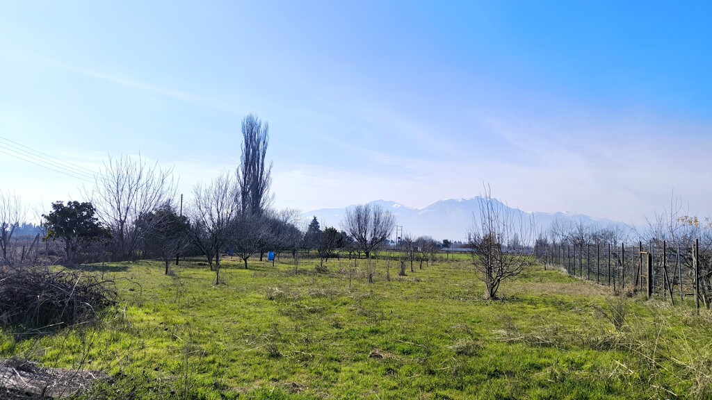 Land in Paralia, Pieria Prefecture, Greece – 62101