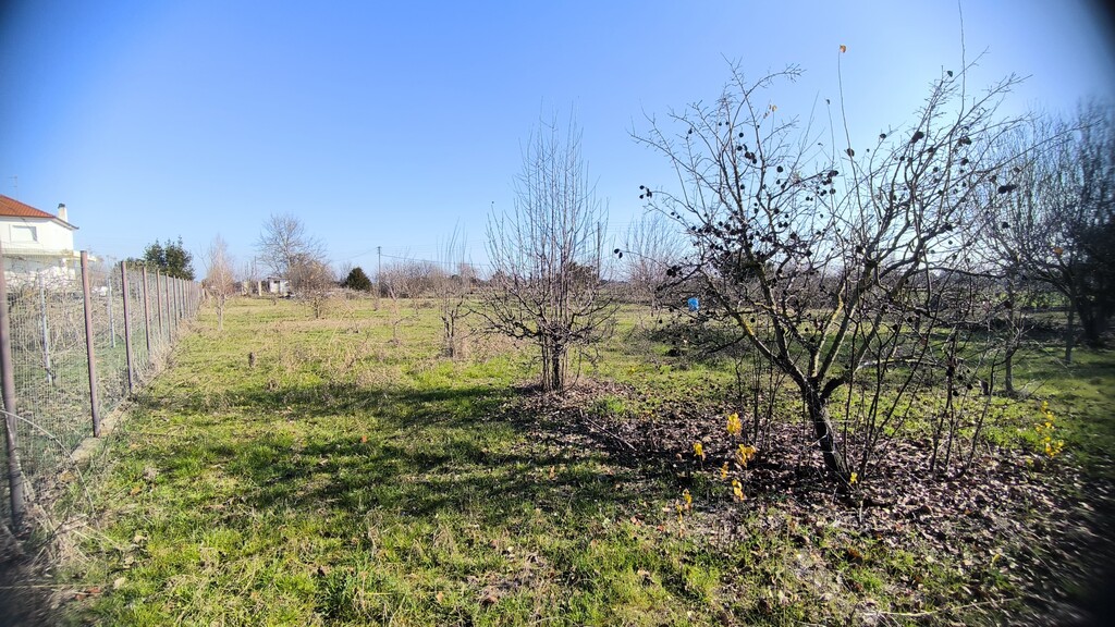 Land in Paralia, Pieria Prefecture, Greece – 62101