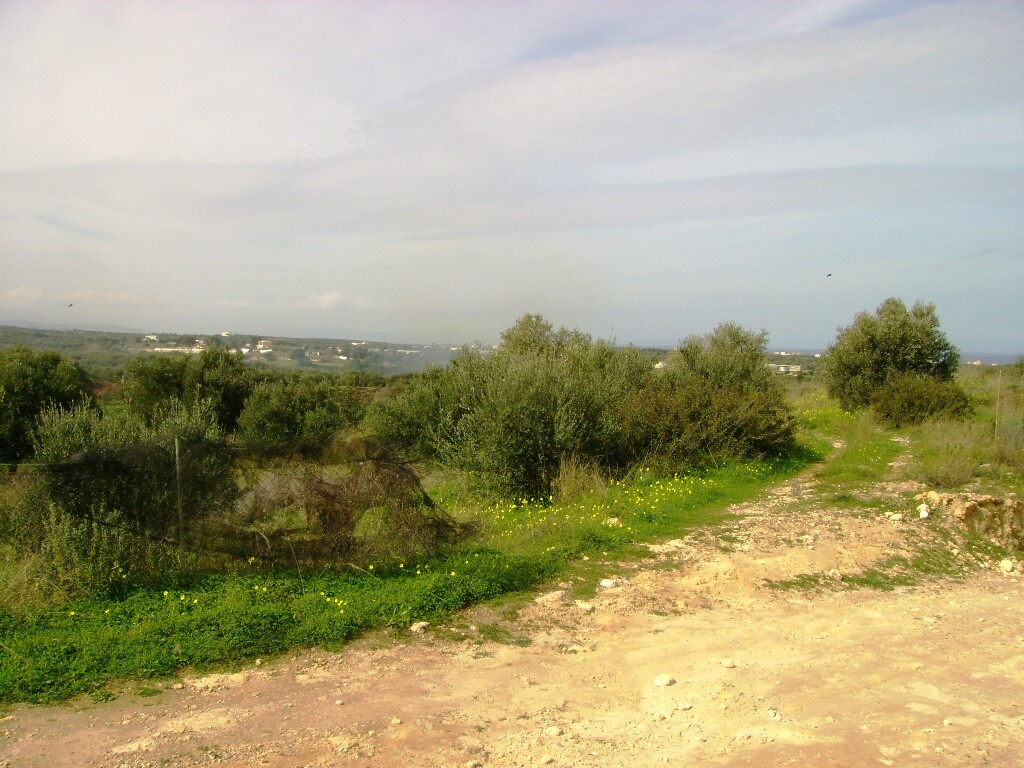 Land in Arkadi, Rethymno Prefecture, Greece – 62020