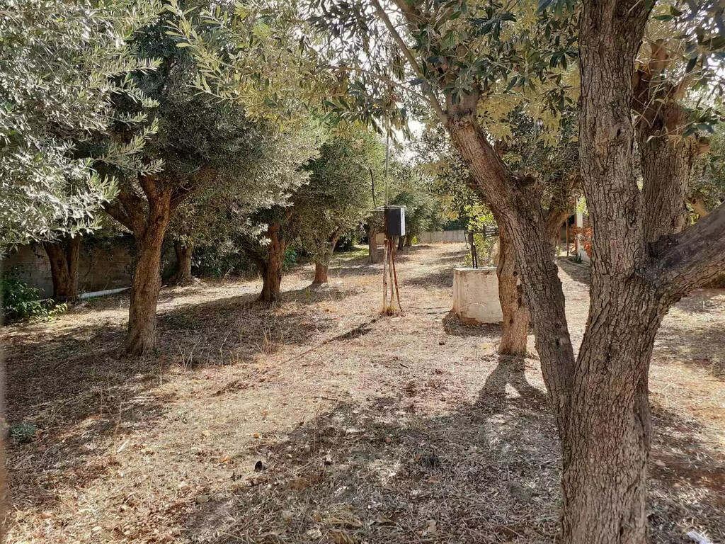 Land in Vari – Varkiza, Athens – South, Greece – 62005