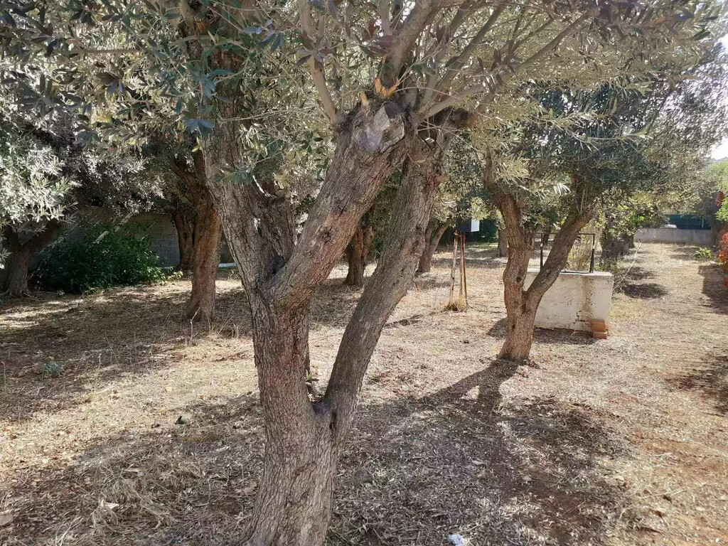 Land in Vari – Varkiza, Athens – South, Greece – 62005