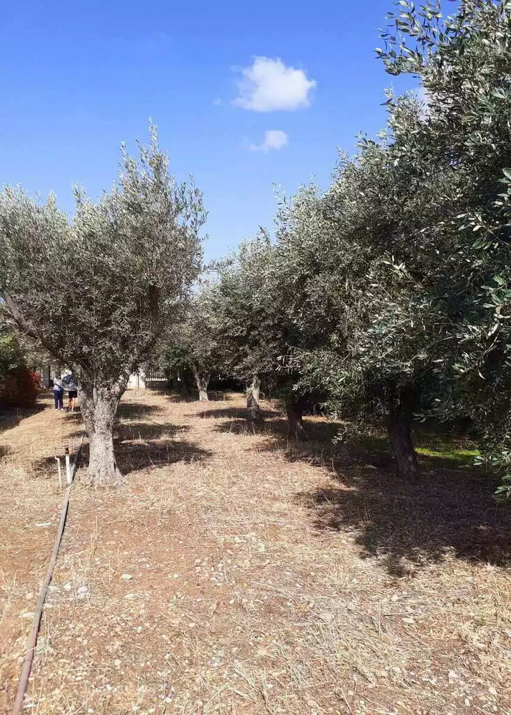 Land in Vari – Varkiza, Athens – South, Greece – 62005