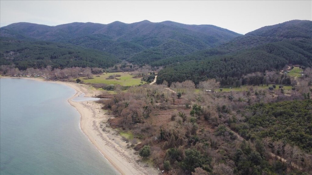 Land in Aristotle, Chalkidiki, Greece – 61874