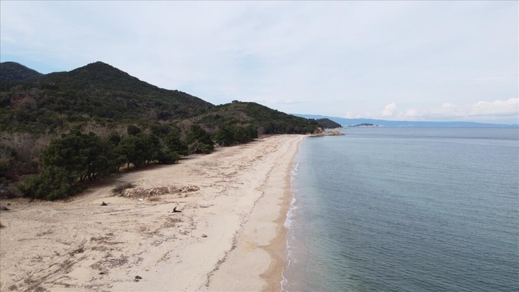 Land in Aristotle, Chalkidiki, Greece – 61874