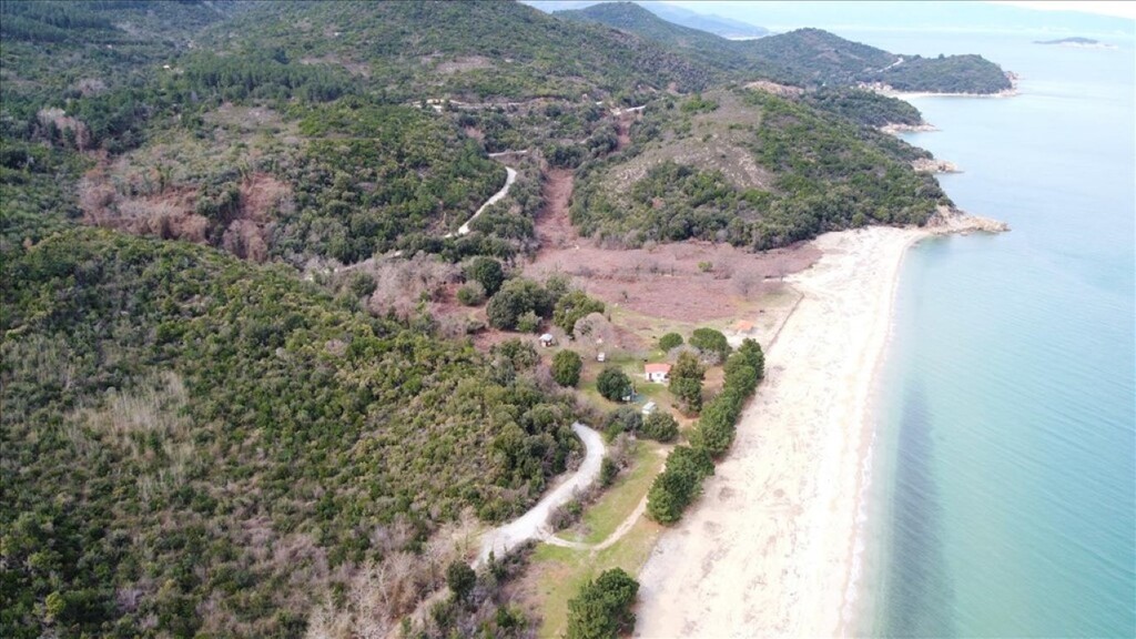 Land in Aristotle, Chalkidiki, Greece – 61874