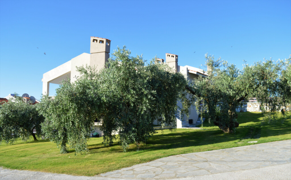 Complex in Eleitheres, Kavala Prefecture, Greece – 61865