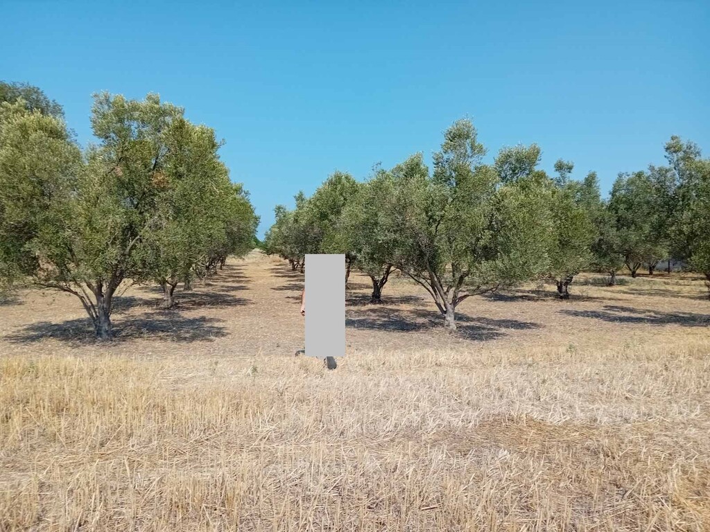 Land in Nea Propontida, Chalkidiki, Greece – 61856