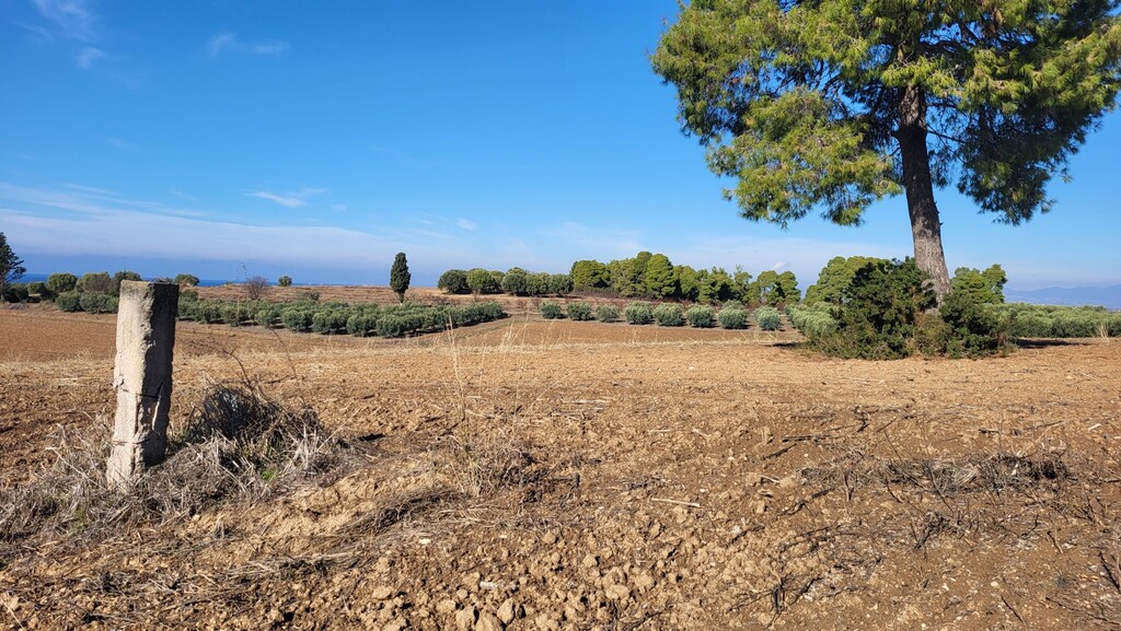 Land in Kassandra, Chalkidiki, Greece – 61821