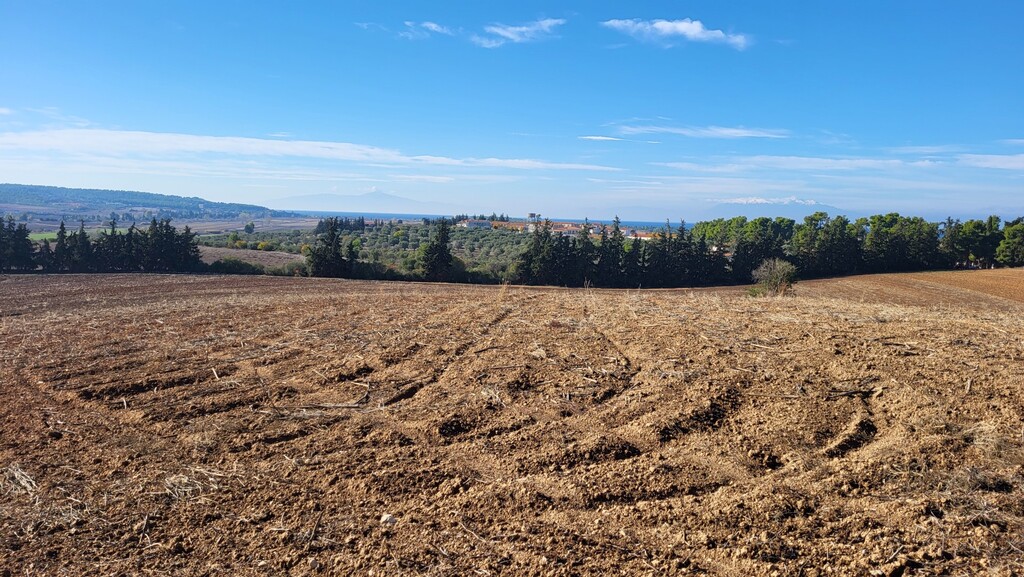 Land in Kassandra, Chalkidiki, Greece – 61821