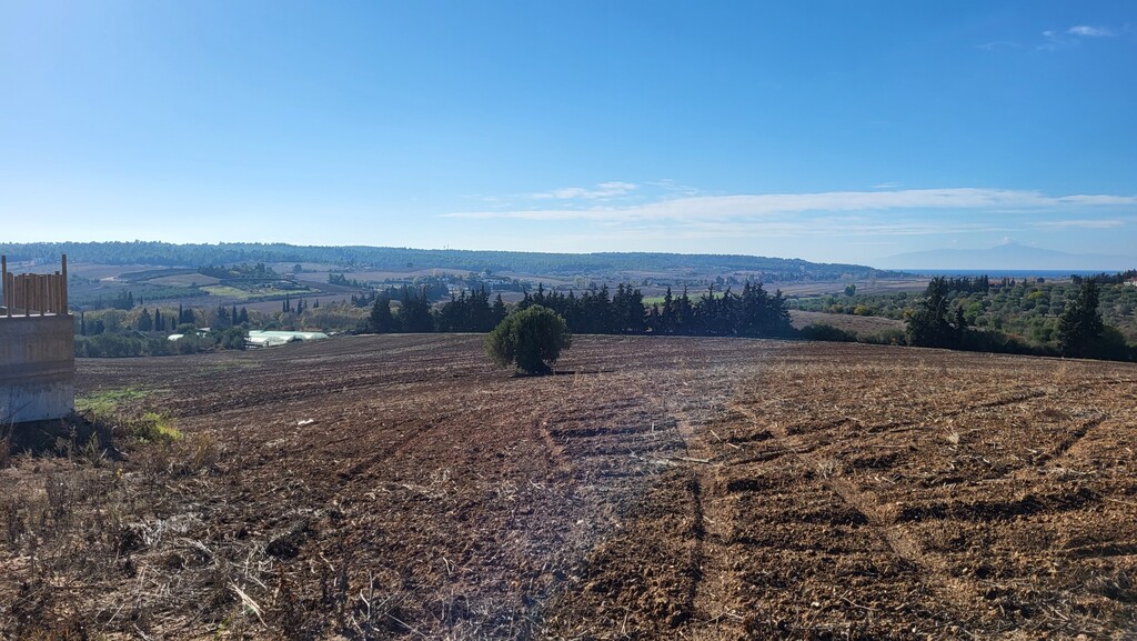 Land in Kassandra, Chalkidiki, Greece – 61821