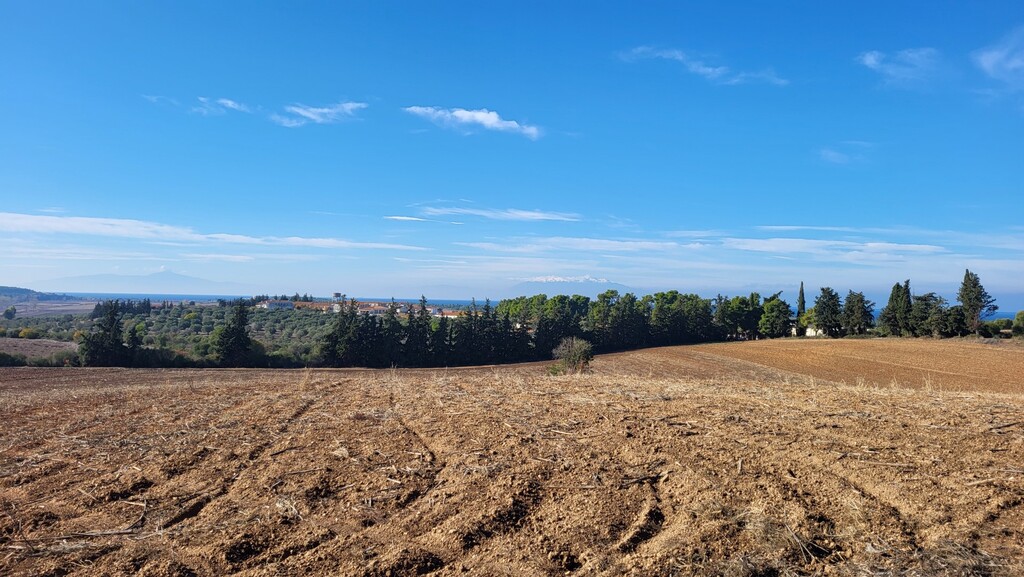 Land in Kassandra, Chalkidiki, Greece – 61821