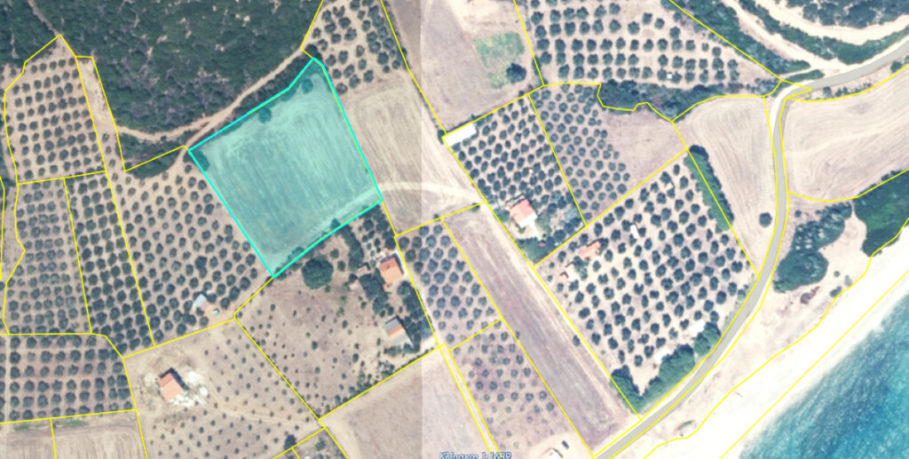 Land in Aristotle, Chalkidiki, Greece – 61751