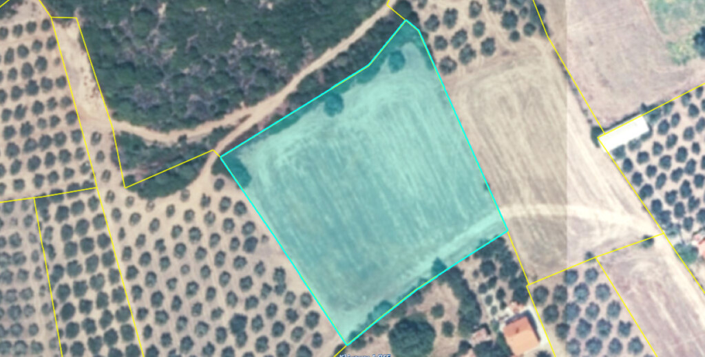 Land in Aristotle, Chalkidiki, Greece – 61751