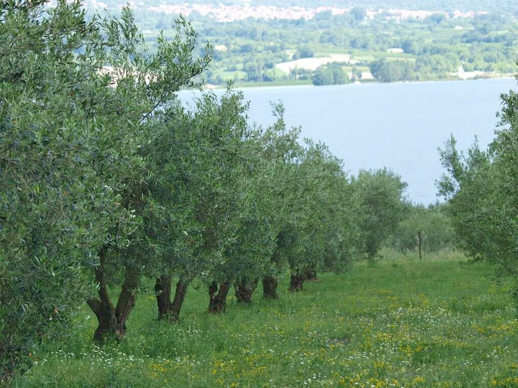 Land in Servia, Kozani Prefecture, Greece – 61707