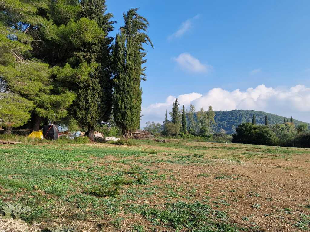 Land in Corfu, Corfu Prefecture, Greece – 61705