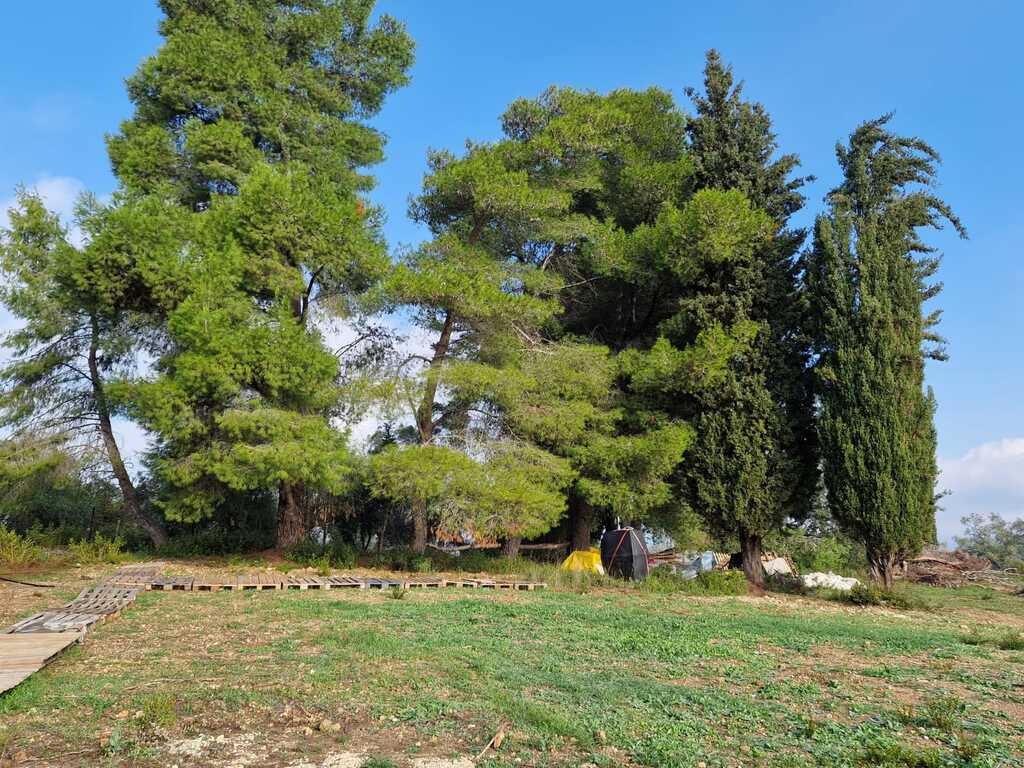 Land in Corfu, Corfu Prefecture, Greece – 61705