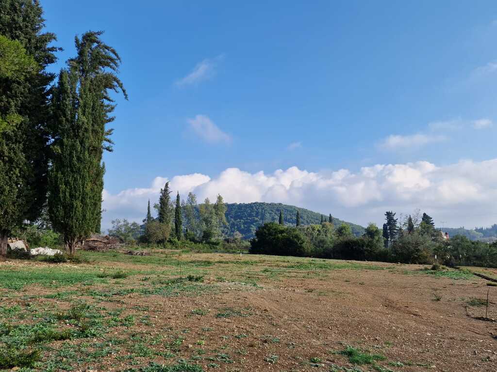 Land in Corfu, Corfu Prefecture, Greece – 61705
