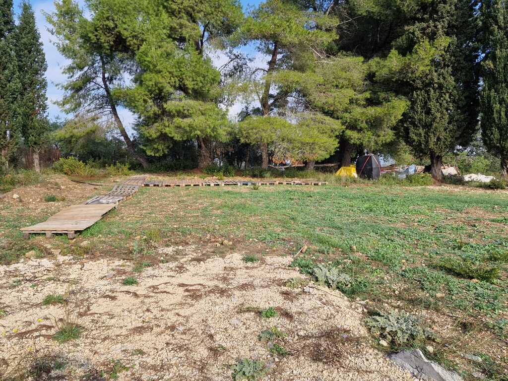 Land in Corfu, Corfu Prefecture, Greece – 61705