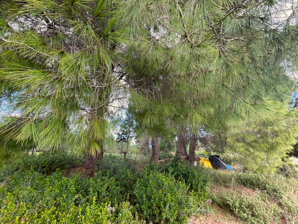 Land in Corfu, Corfu Prefecture, Greece – 61705