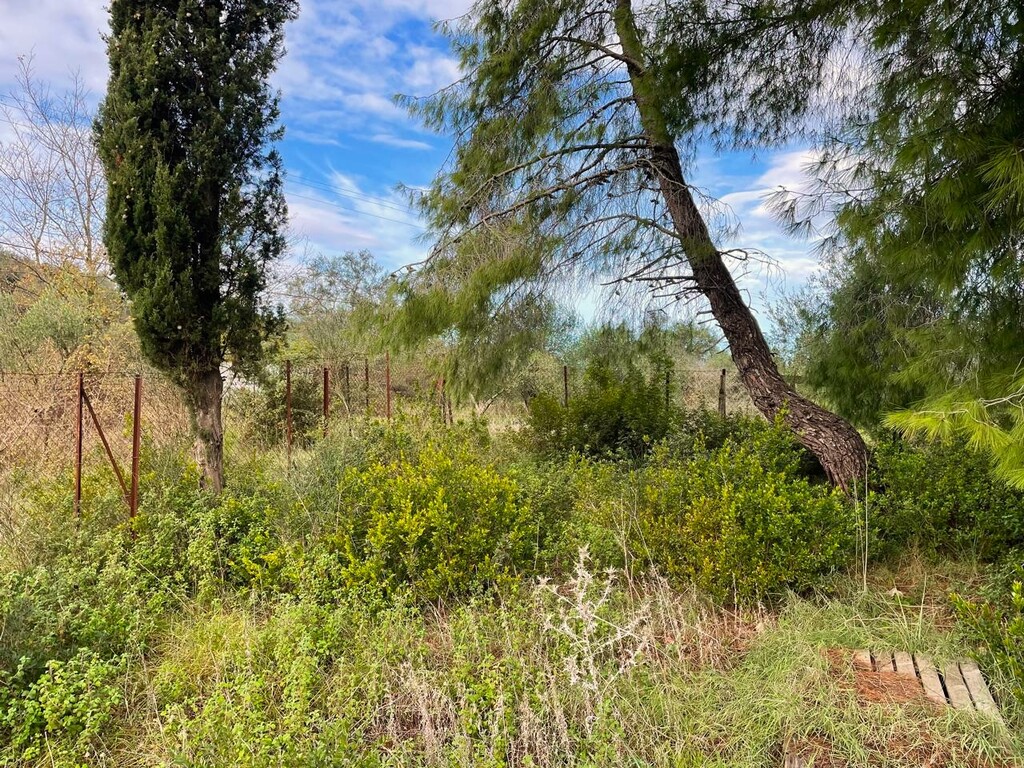 Land in Corfu, Corfu Prefecture, Greece – 61705