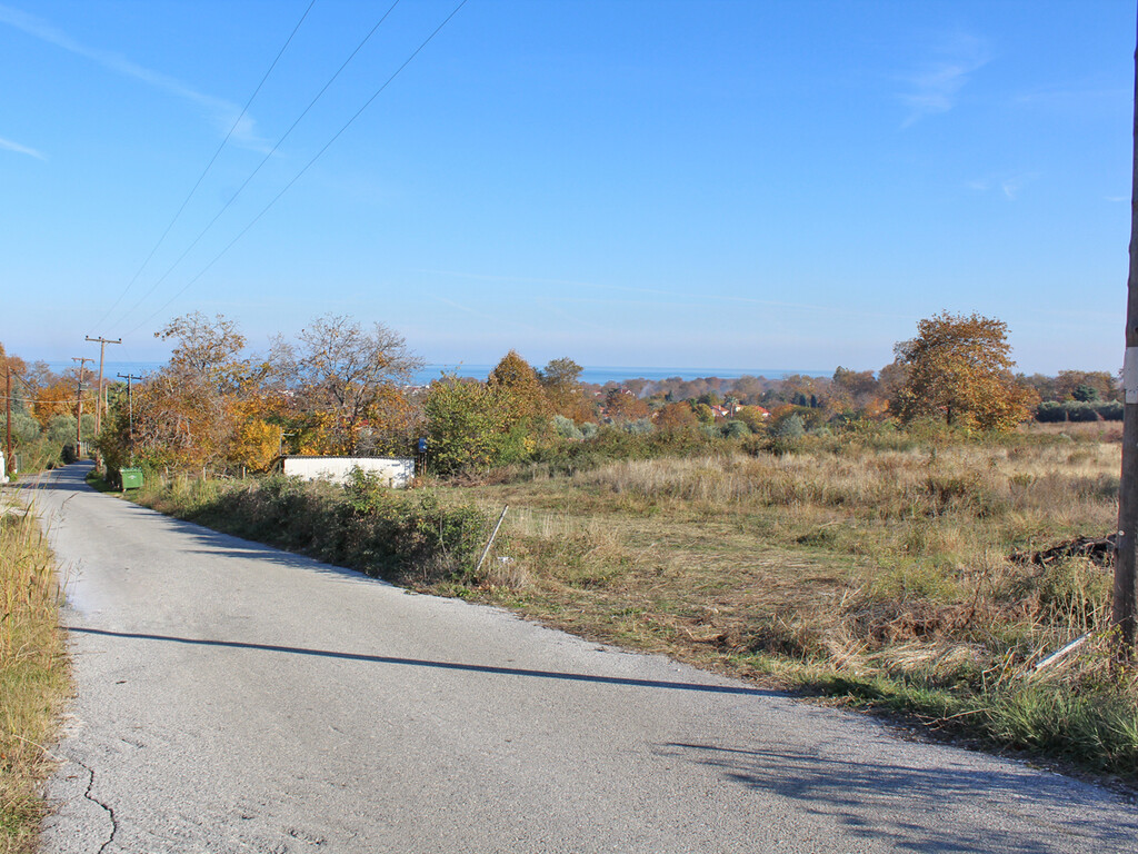 Land in Easts Olimpos, Pieria Prefecture, Greece – 61645