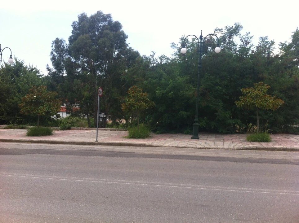 Land in Aristotle, Chalkidiki, Greece – 61609