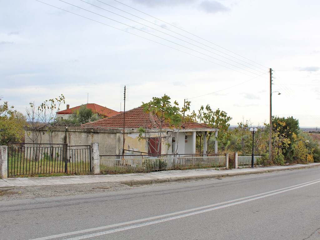 Land in Elafina, Pieria Prefecture, Greece – 61605