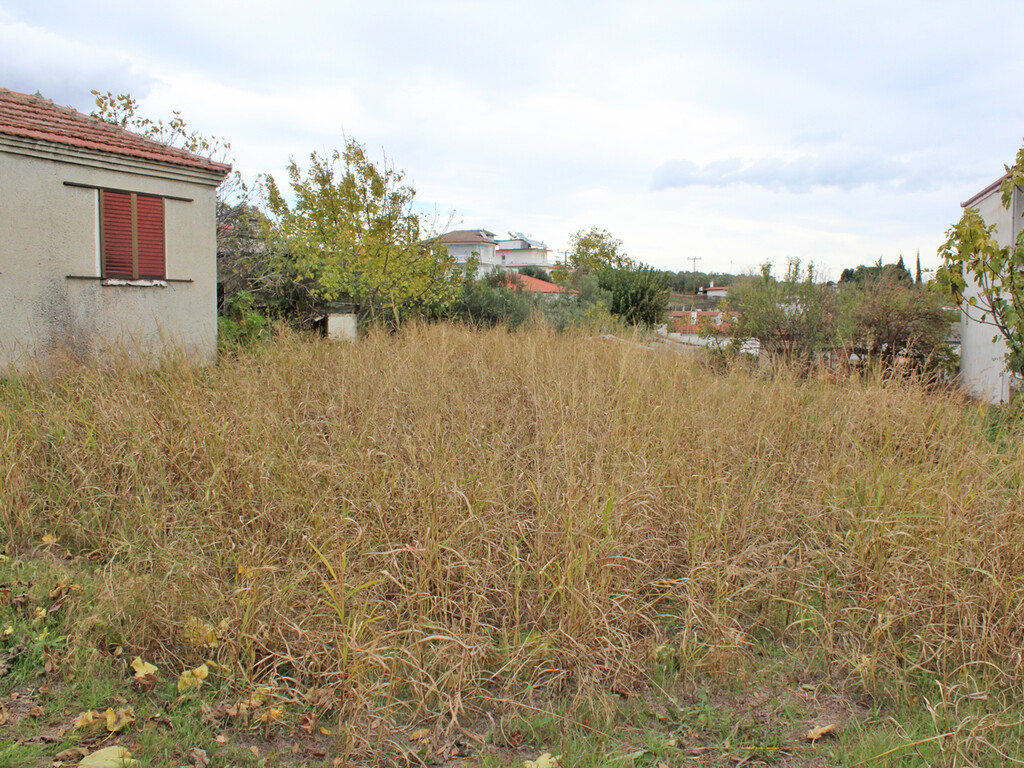 Land in Elafina, Pieria Prefecture, Greece – 61605