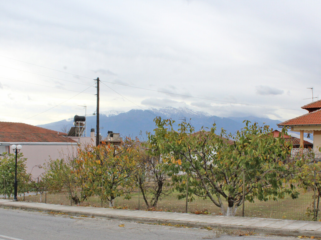 Land in Elafina, Pieria Prefecture, Greece – 61605