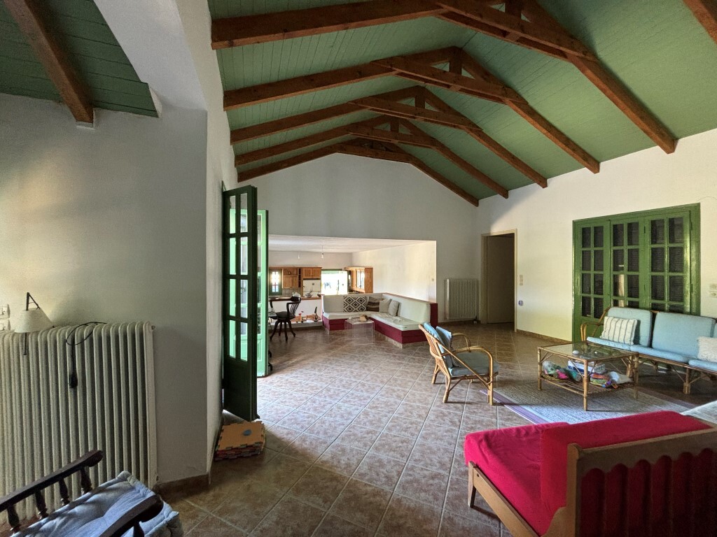 Detached house in Artemisio, Zante, Greece – 61590