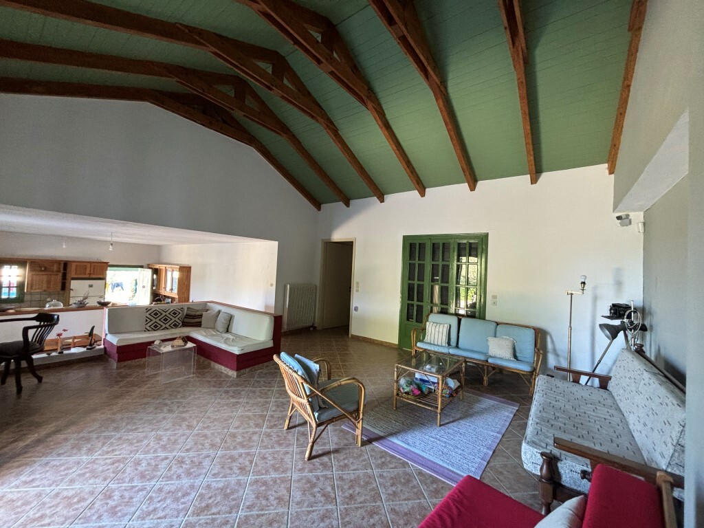 Detached house in Artemisio, Zante, Greece – 61590